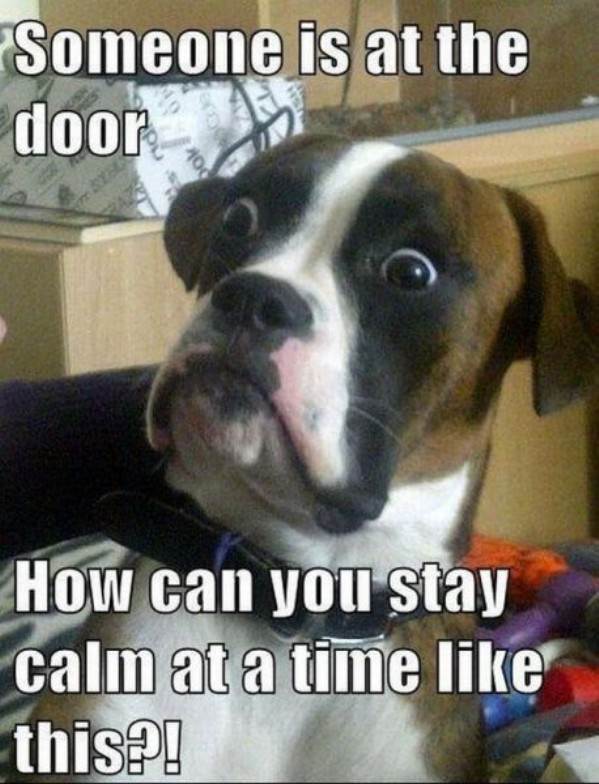 someones-at-the-door