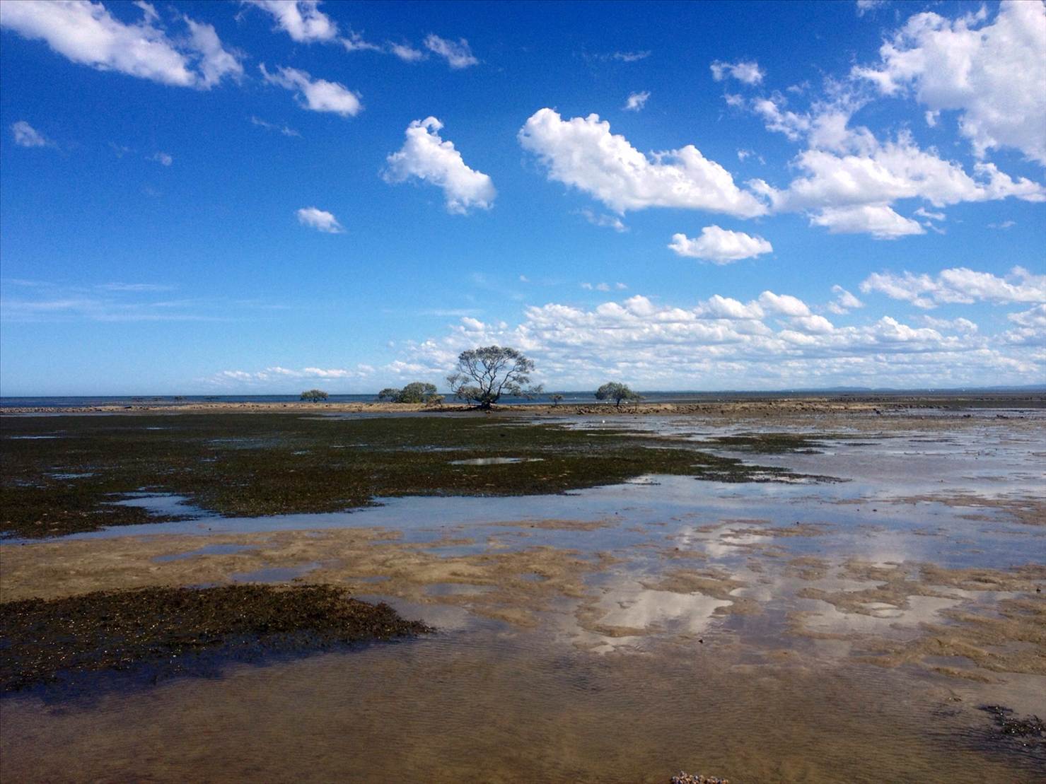 Sandstone Point low tide