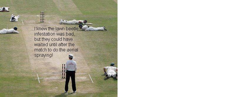 cricket captioned