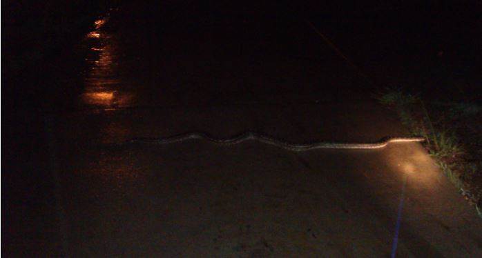 python2