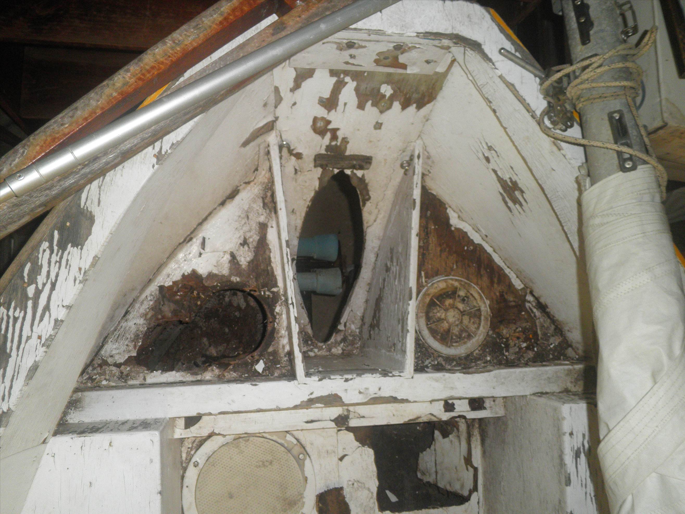 P5110138
