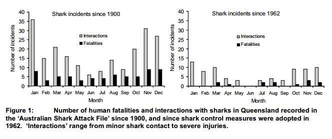 Shark attacks Qld