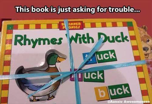 duck