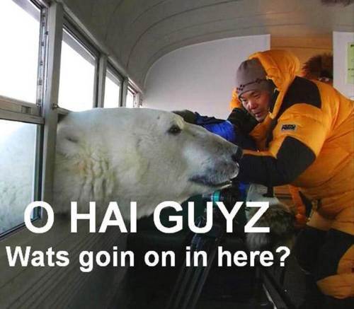 captions-lolz-14