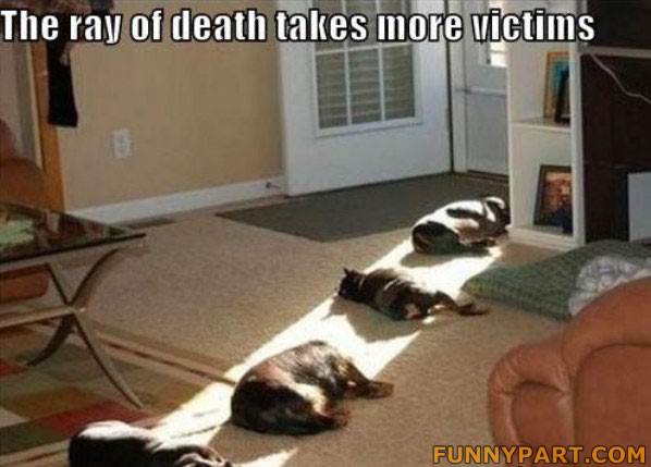 FunnyPart-com-death ray