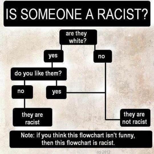 IsSomeoneRacist