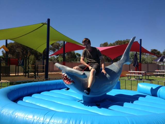 Levi On Shark 2