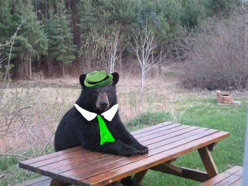 bear cliche