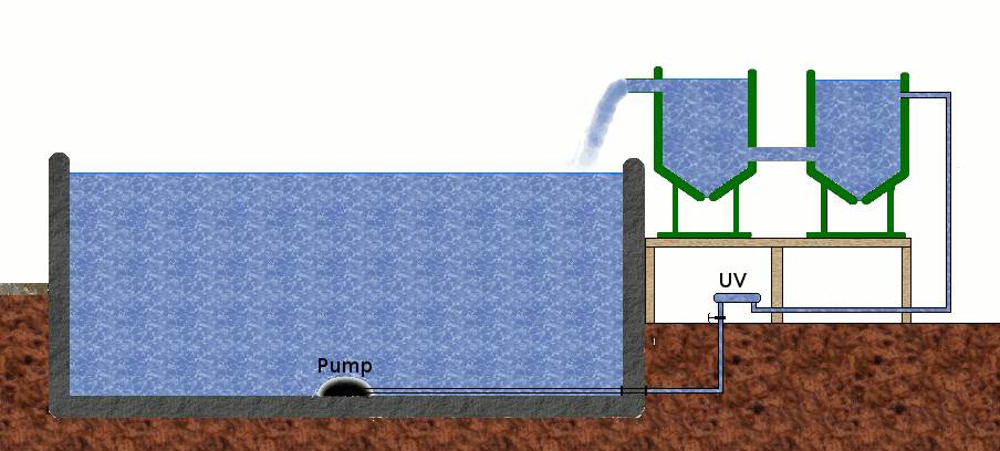 pumpfed-1