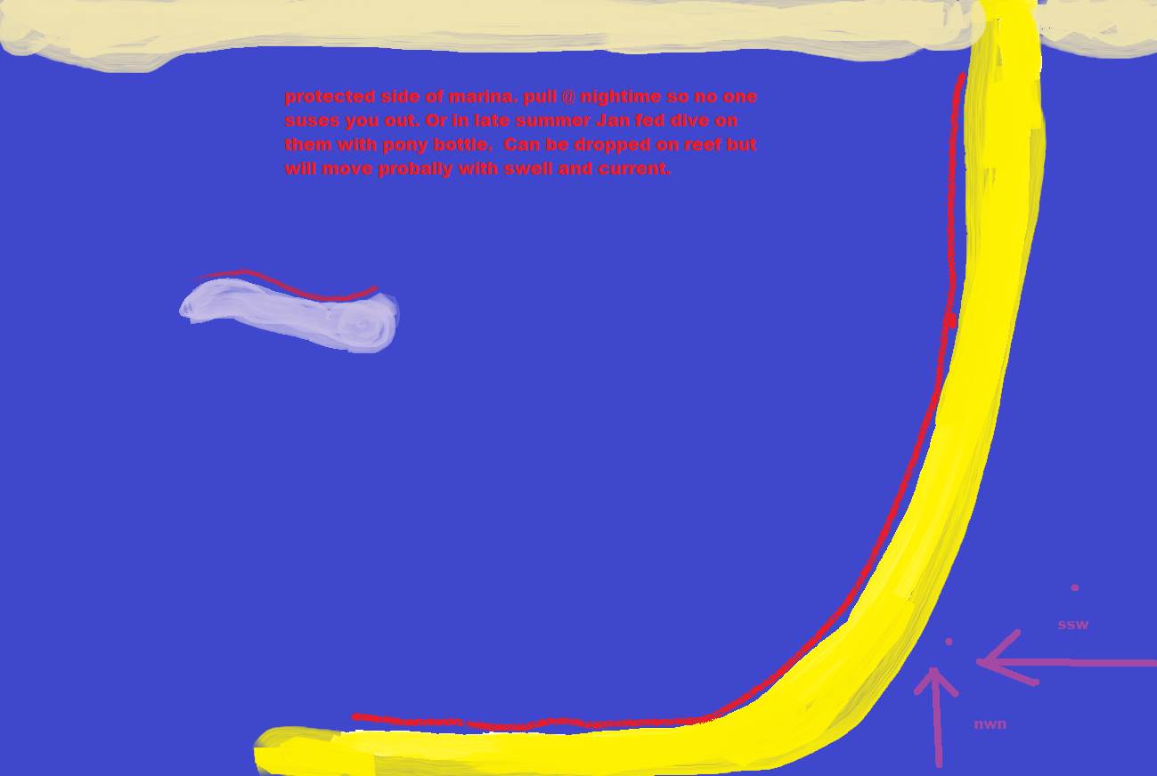 occy 2