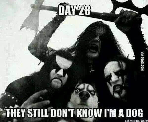 DAY 28