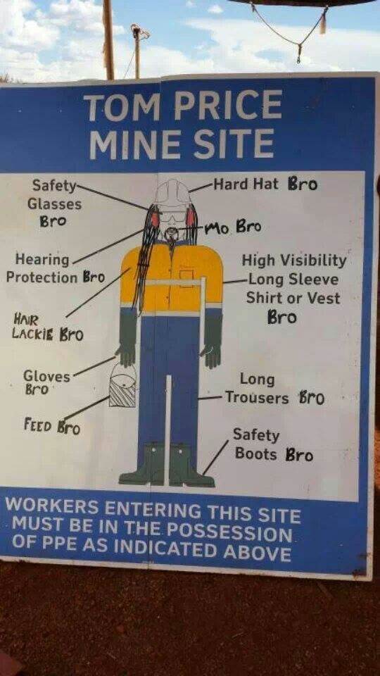 KiwiBro