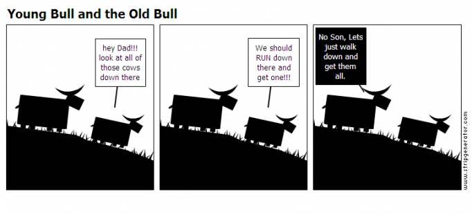 bull