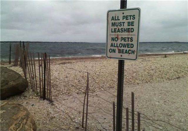 more-pics-with-irony-part2-9