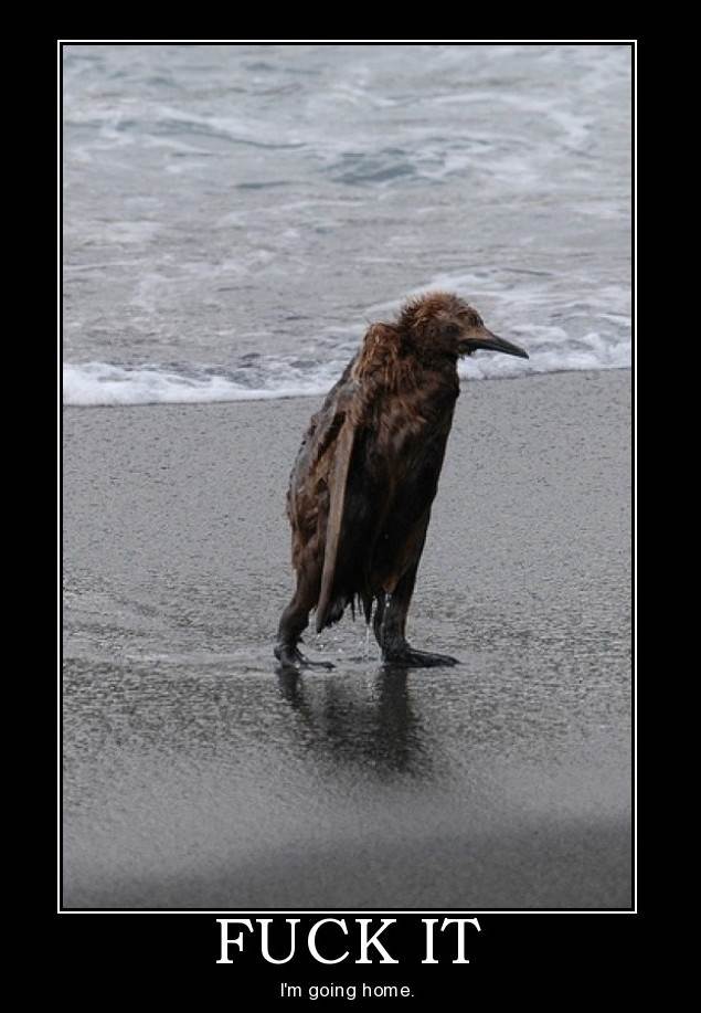 sad penguin