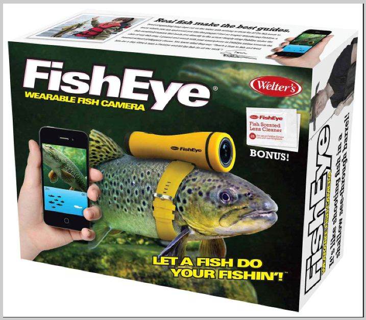 fish eye