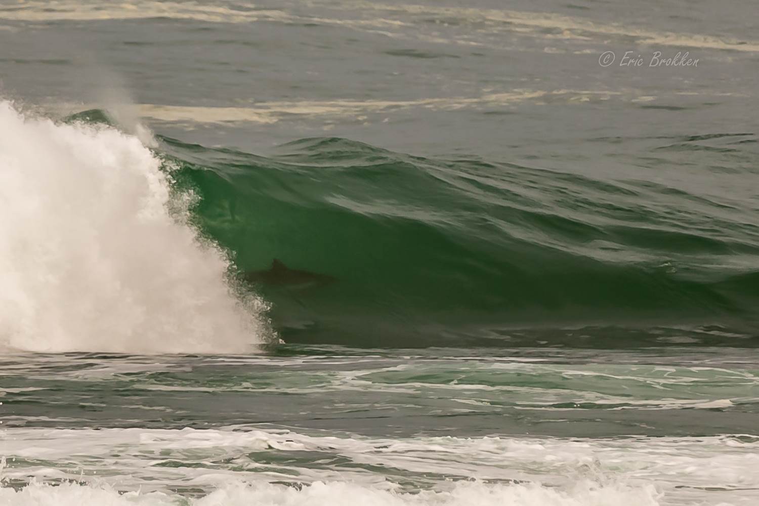 Surfing