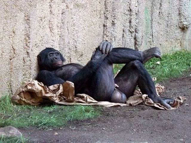 Laid back