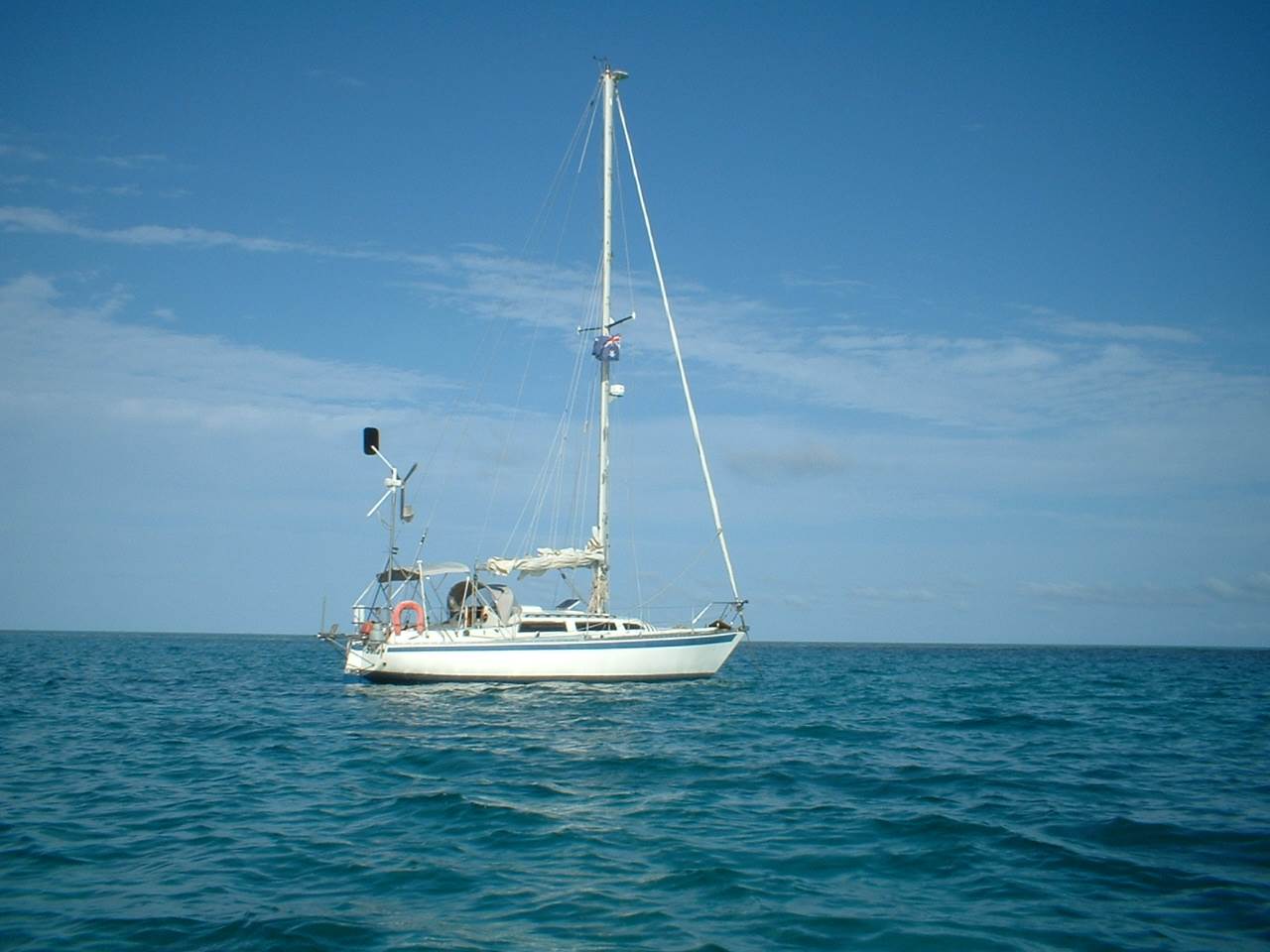 elisabeth reef