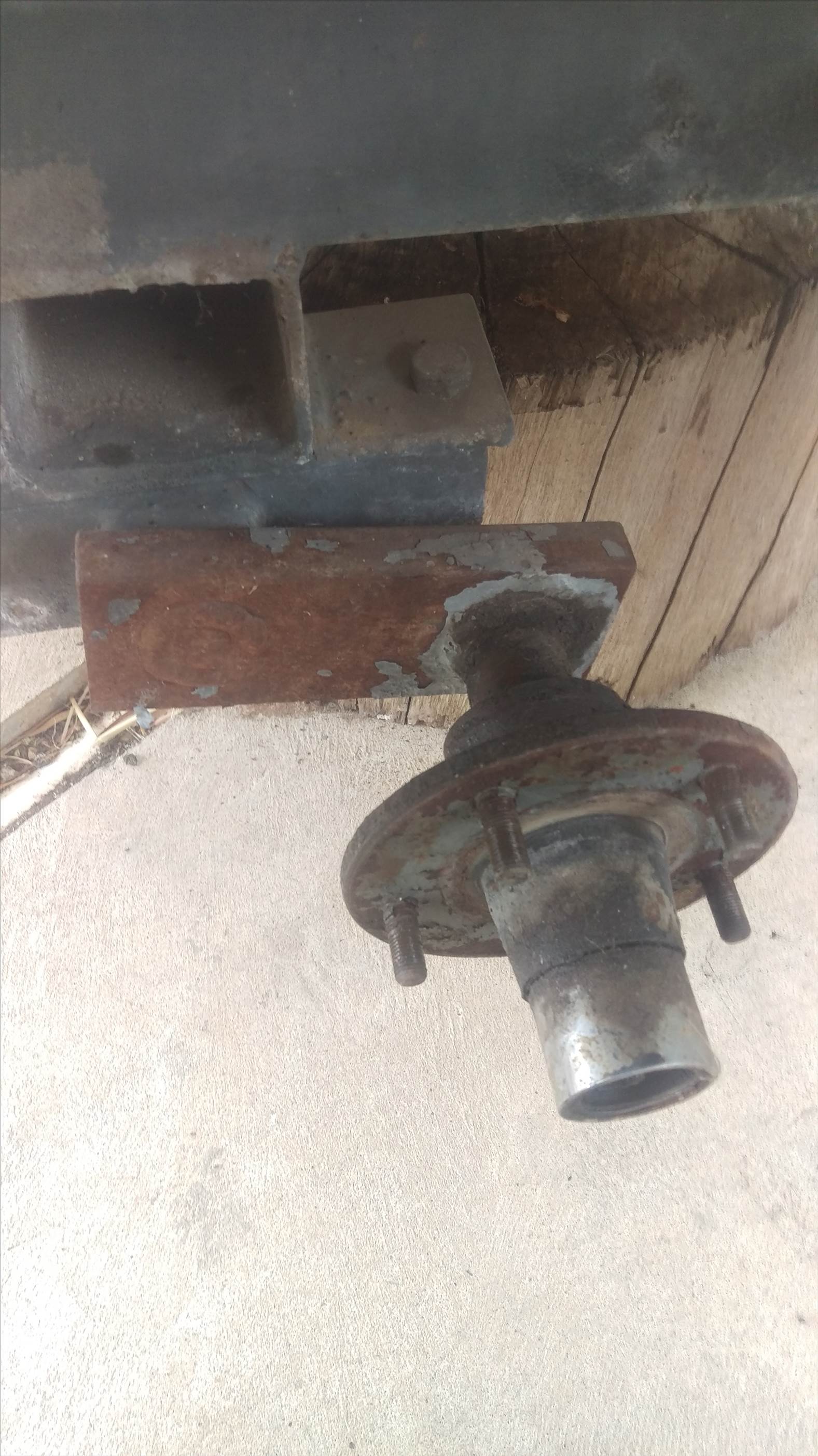 IMAG1258