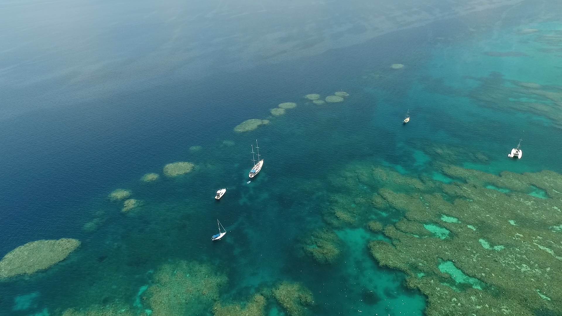 Serenity