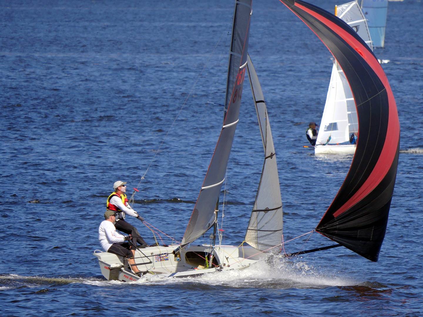 Javelins on Swan