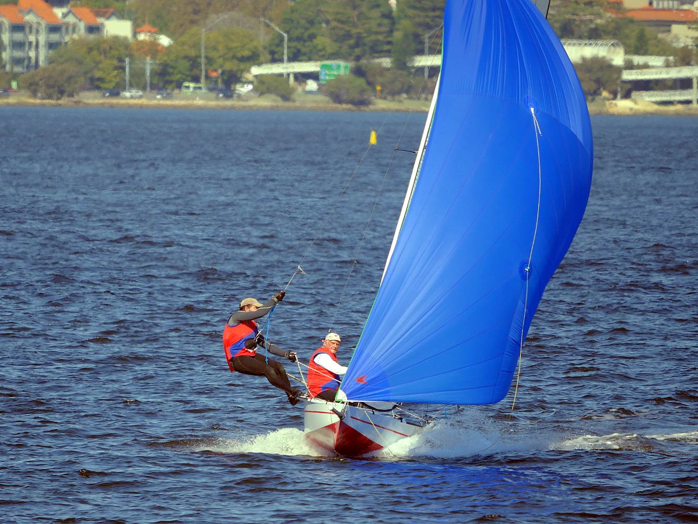 Javelins on Swan