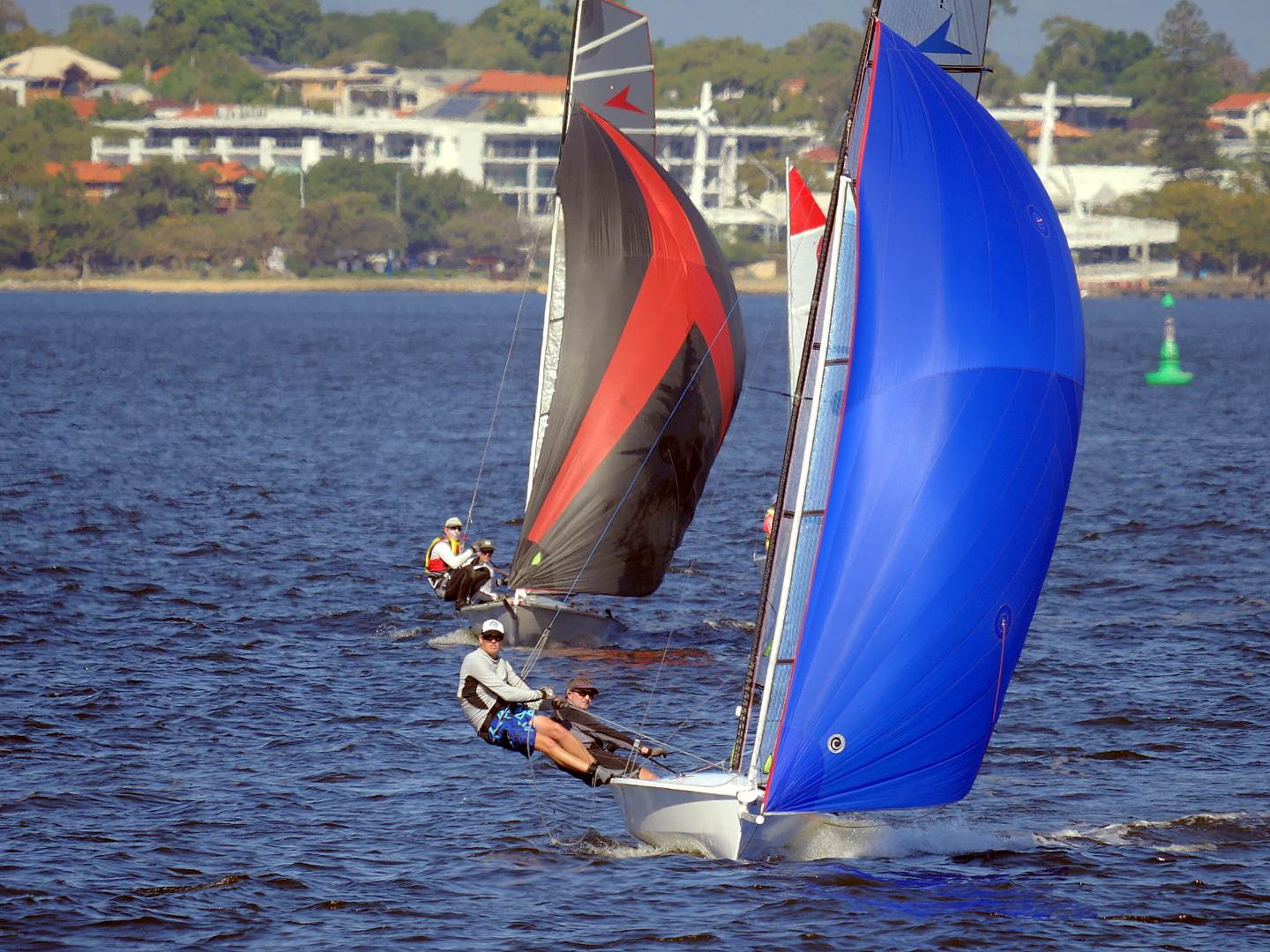 Javelins on Swan