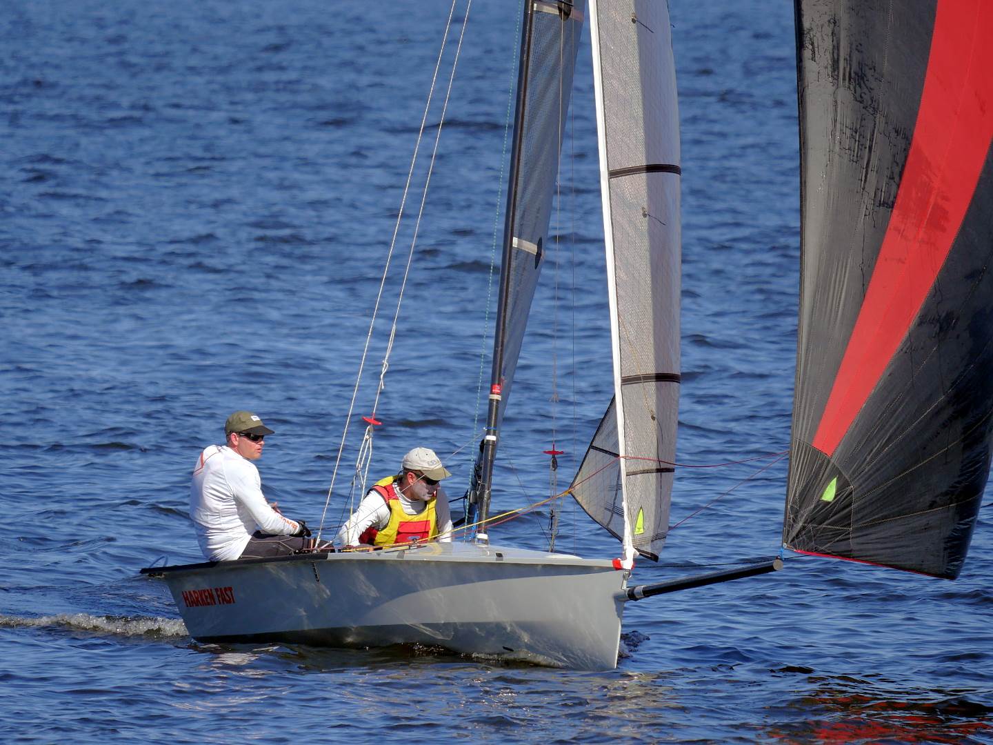 Javelins on Swan