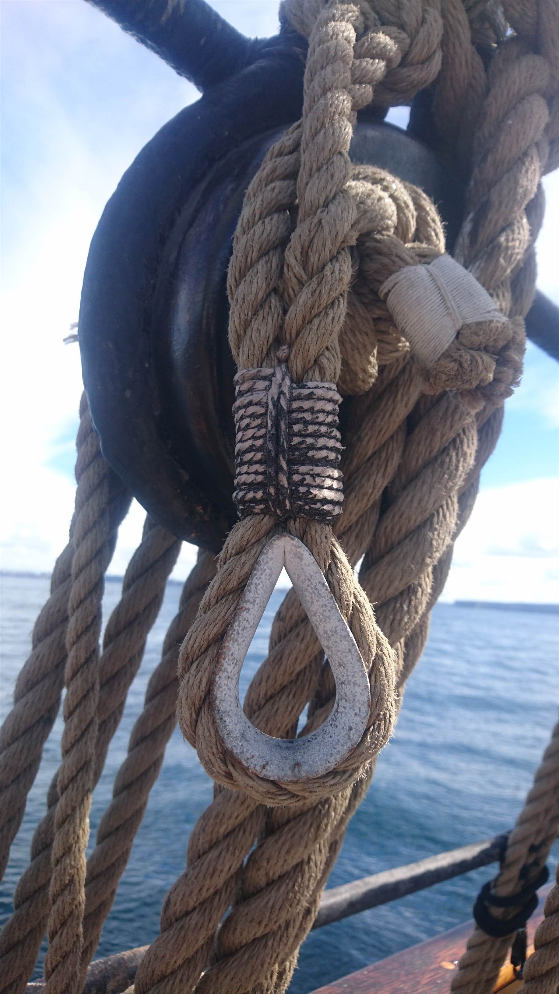 tmp 19319-DSC 0627-920694054