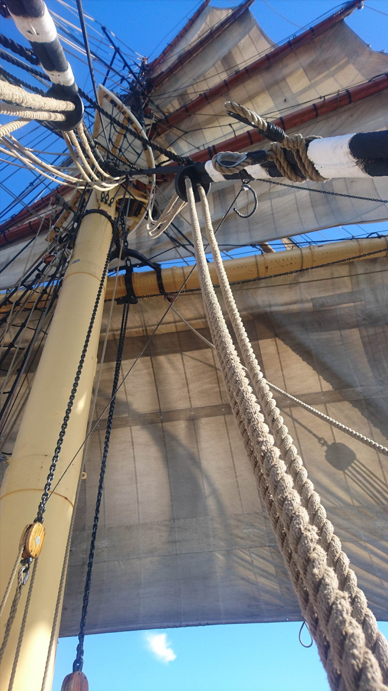 tmp 19319-DSC 0628-1718809950