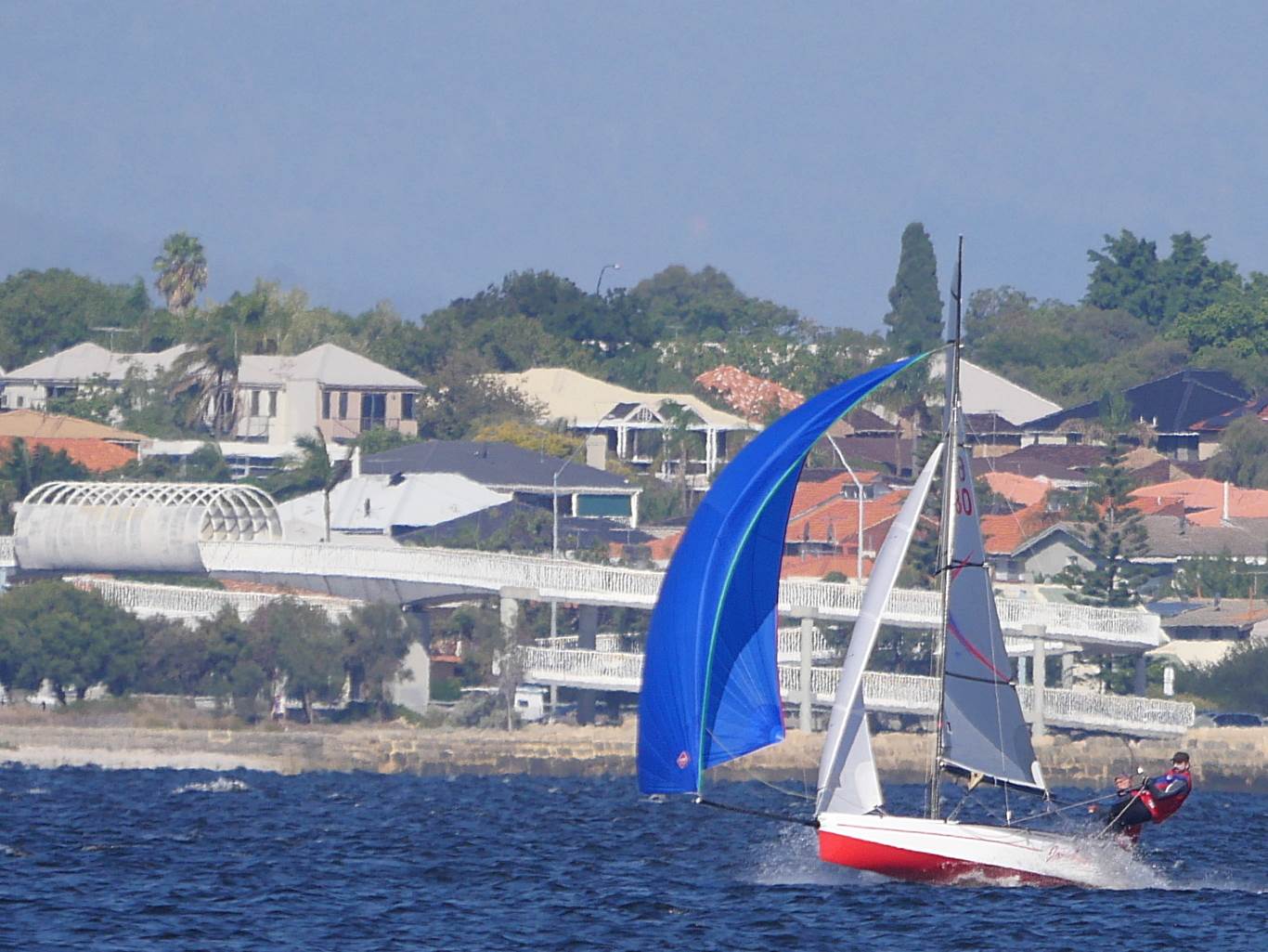 Javelins on Swan