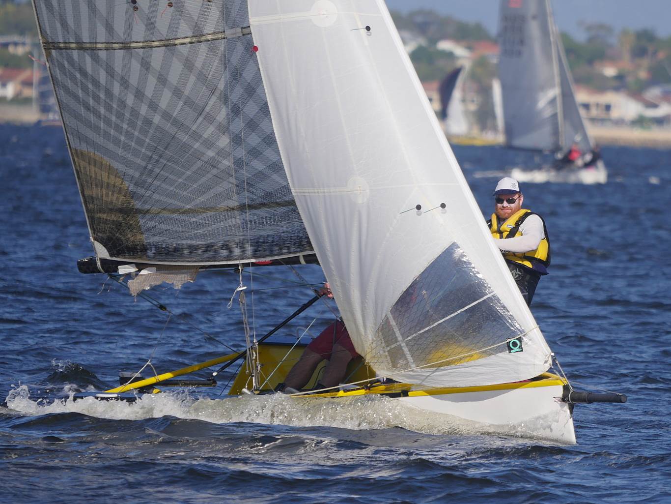 Javelins on Swan