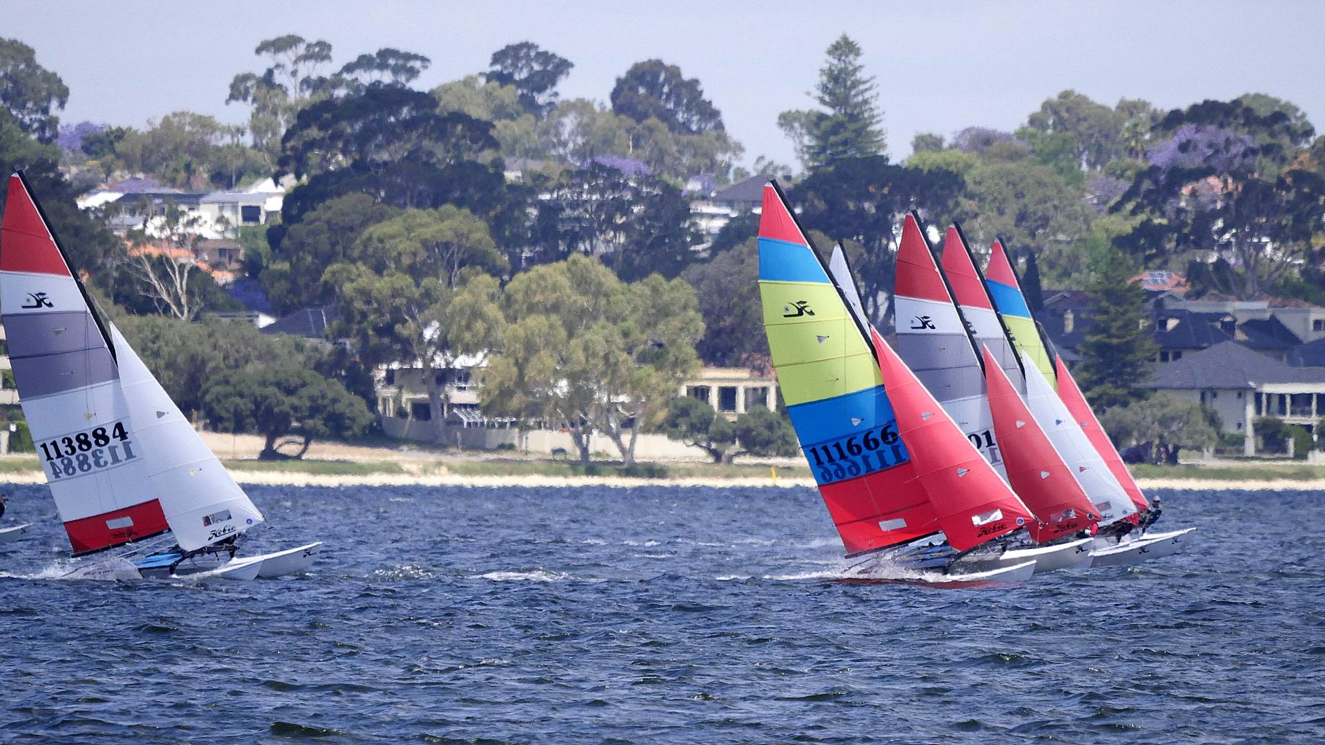 Hobie Cats NYC