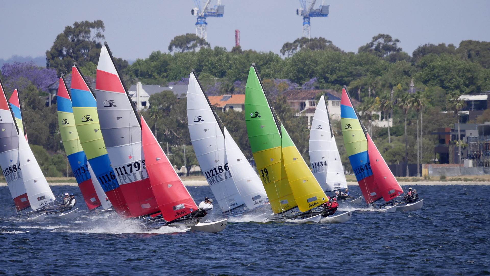 Hobie Cats NYC