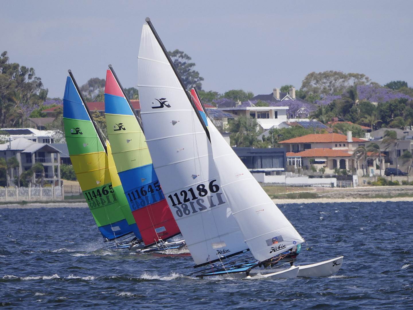 Hobie Cats NYC