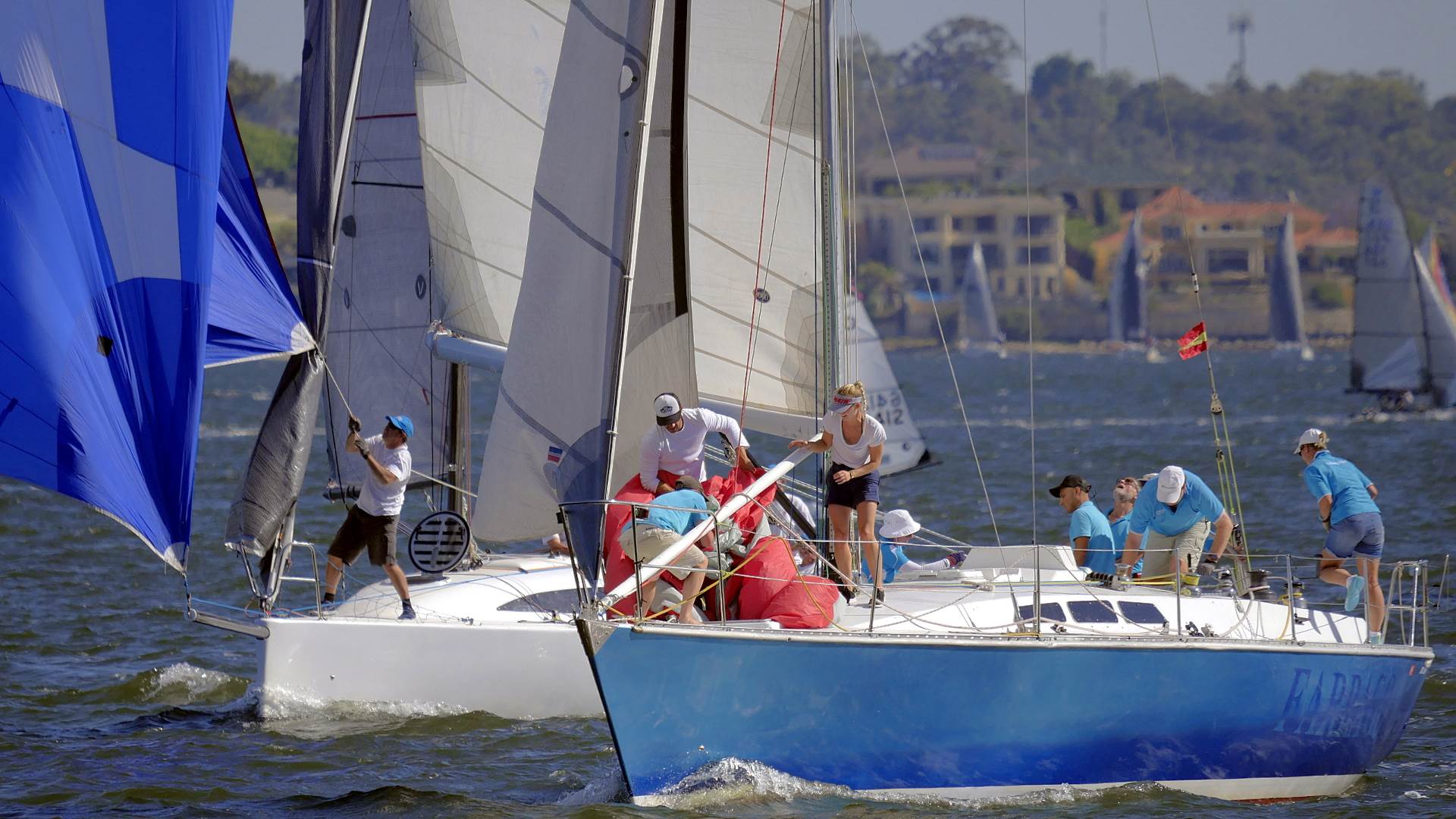 Big Spinnakers