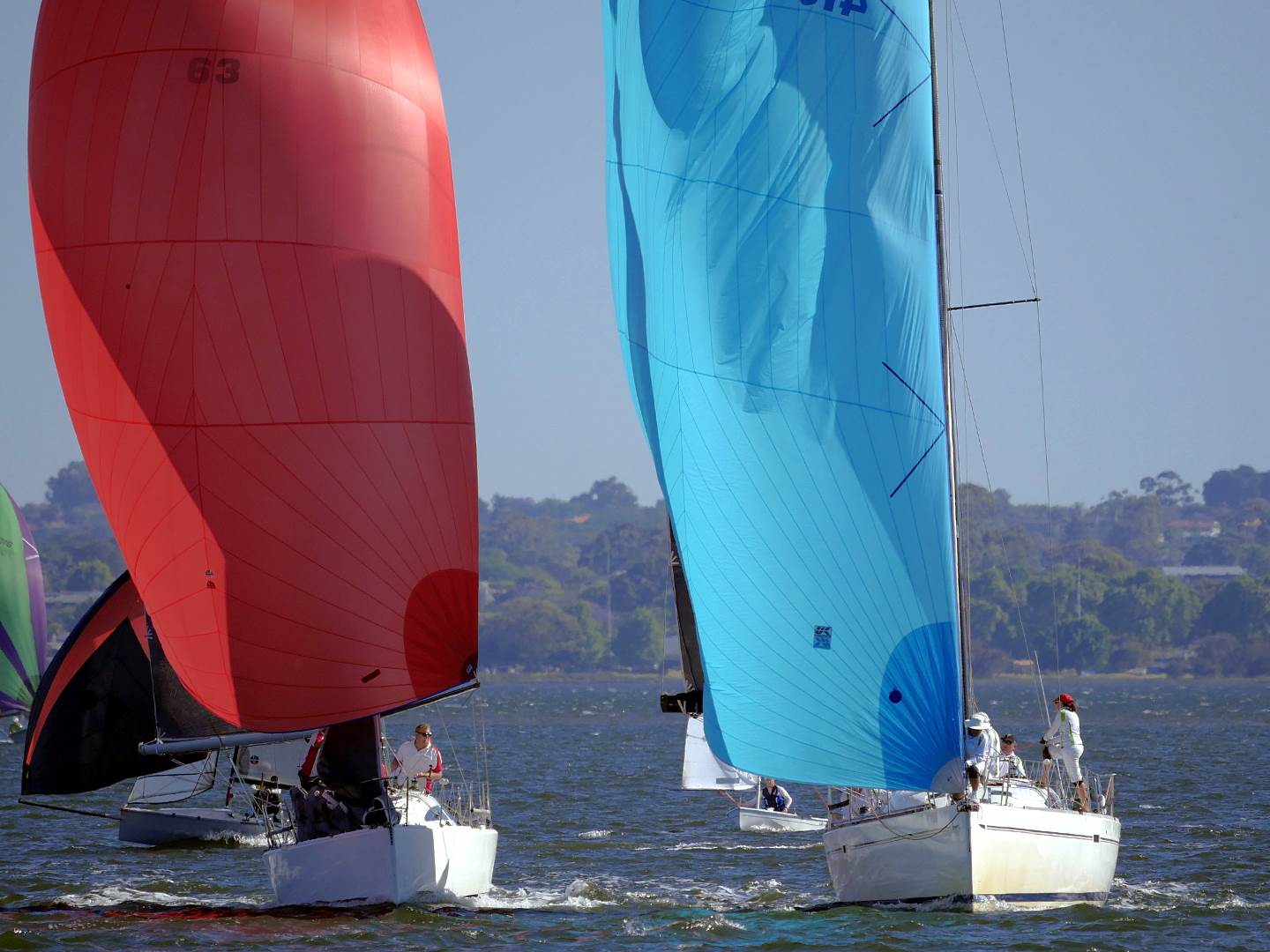 Big Spinnakers