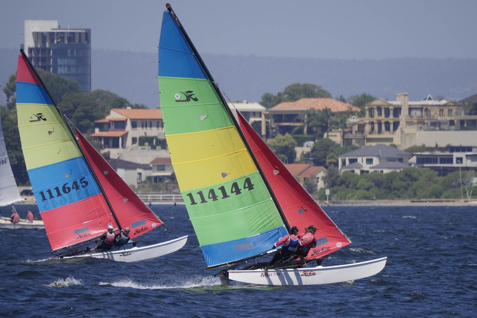 Hobie Cats NYC