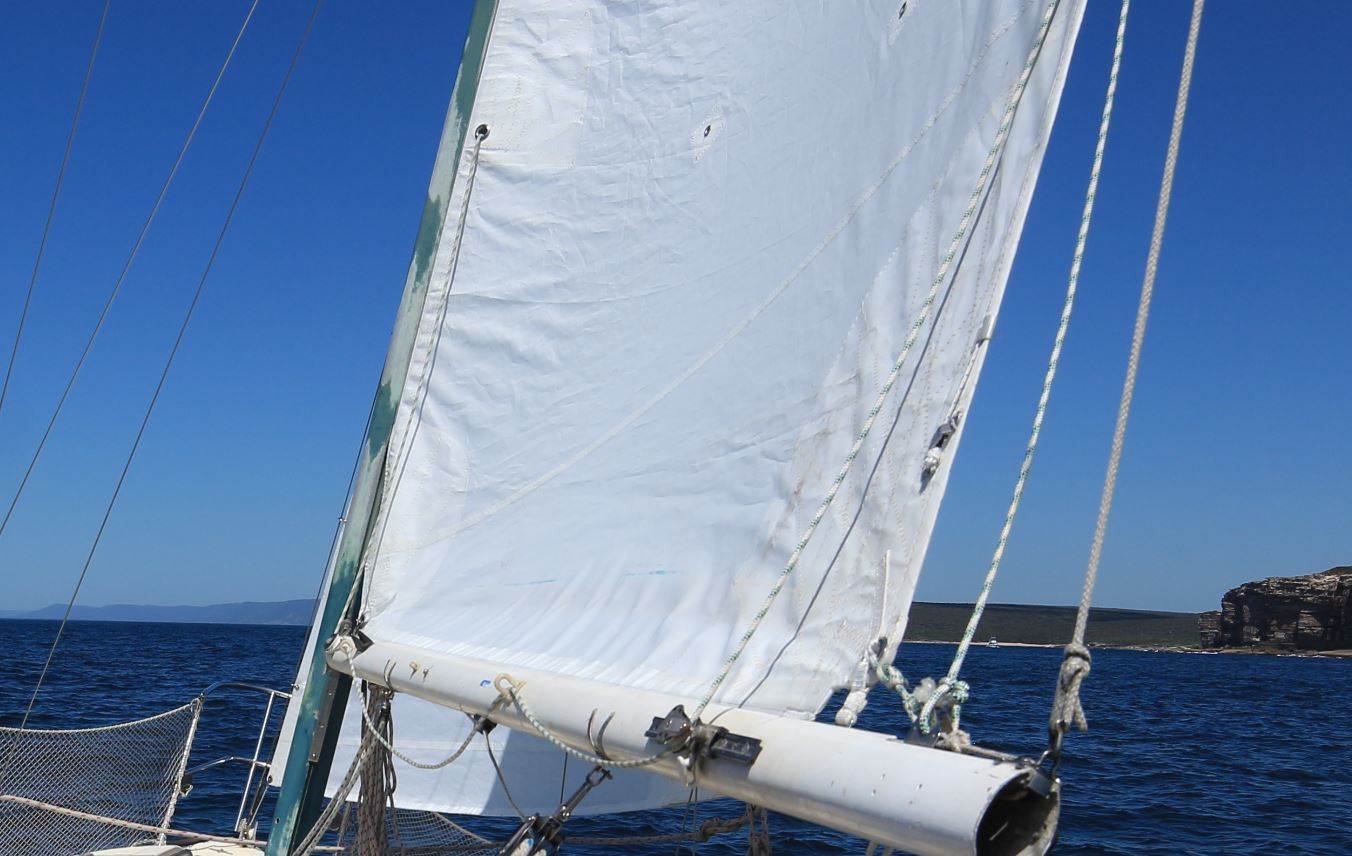 mast