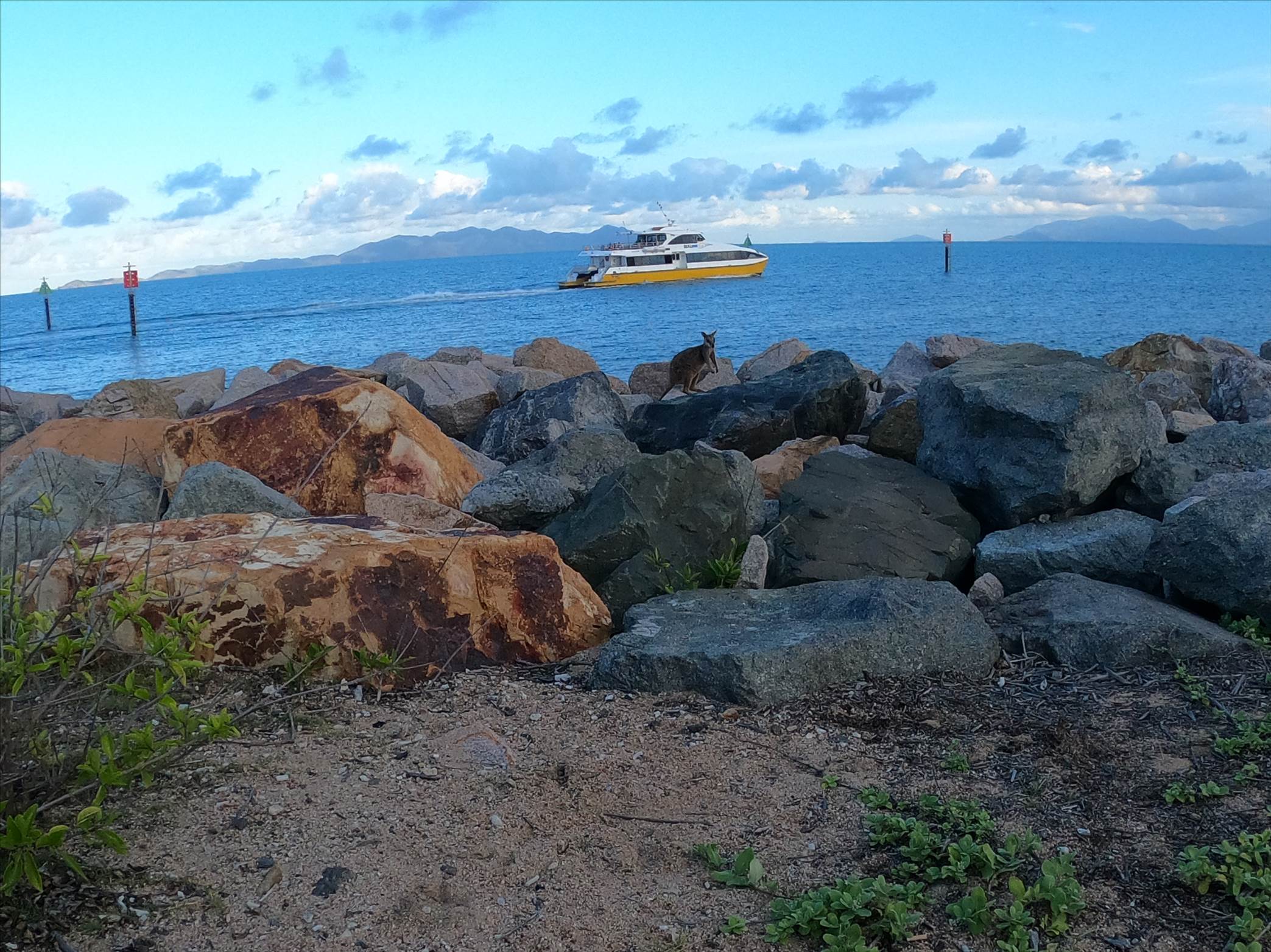 GOPR1324