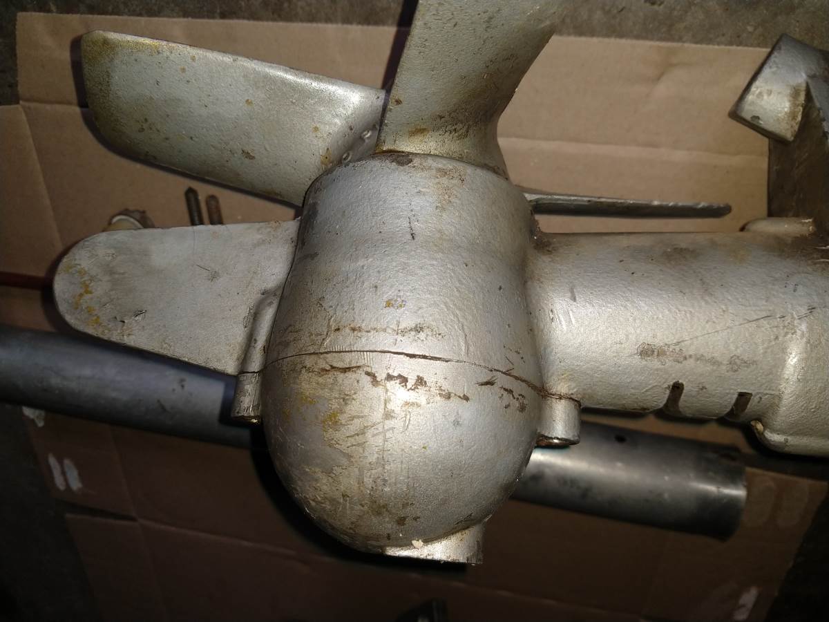 Seagull barn find