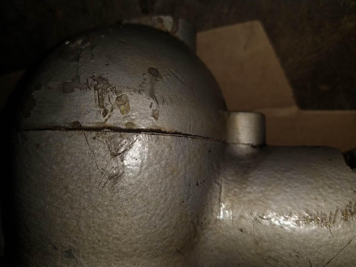 Seagull barn find