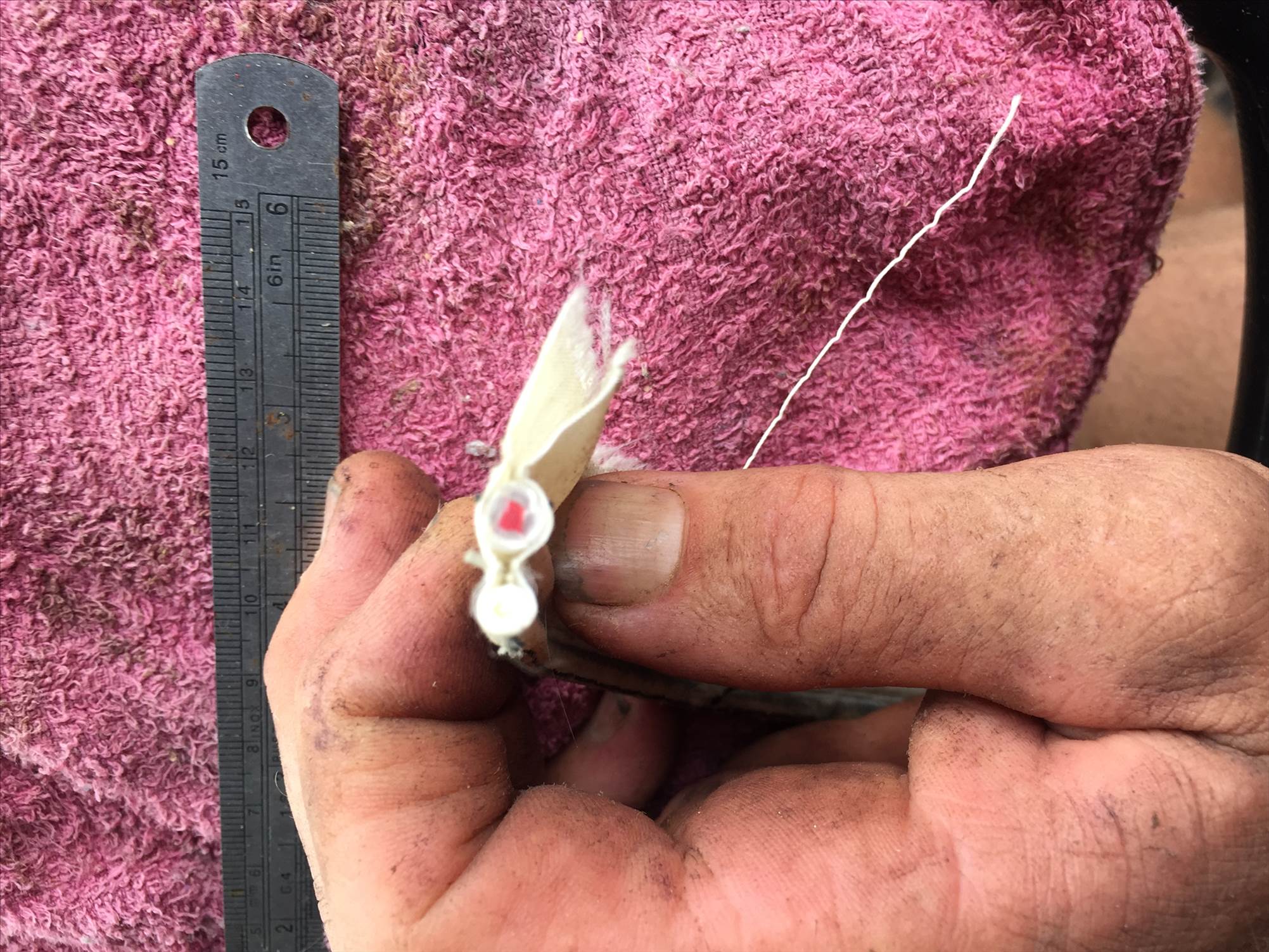 Double bolt rope