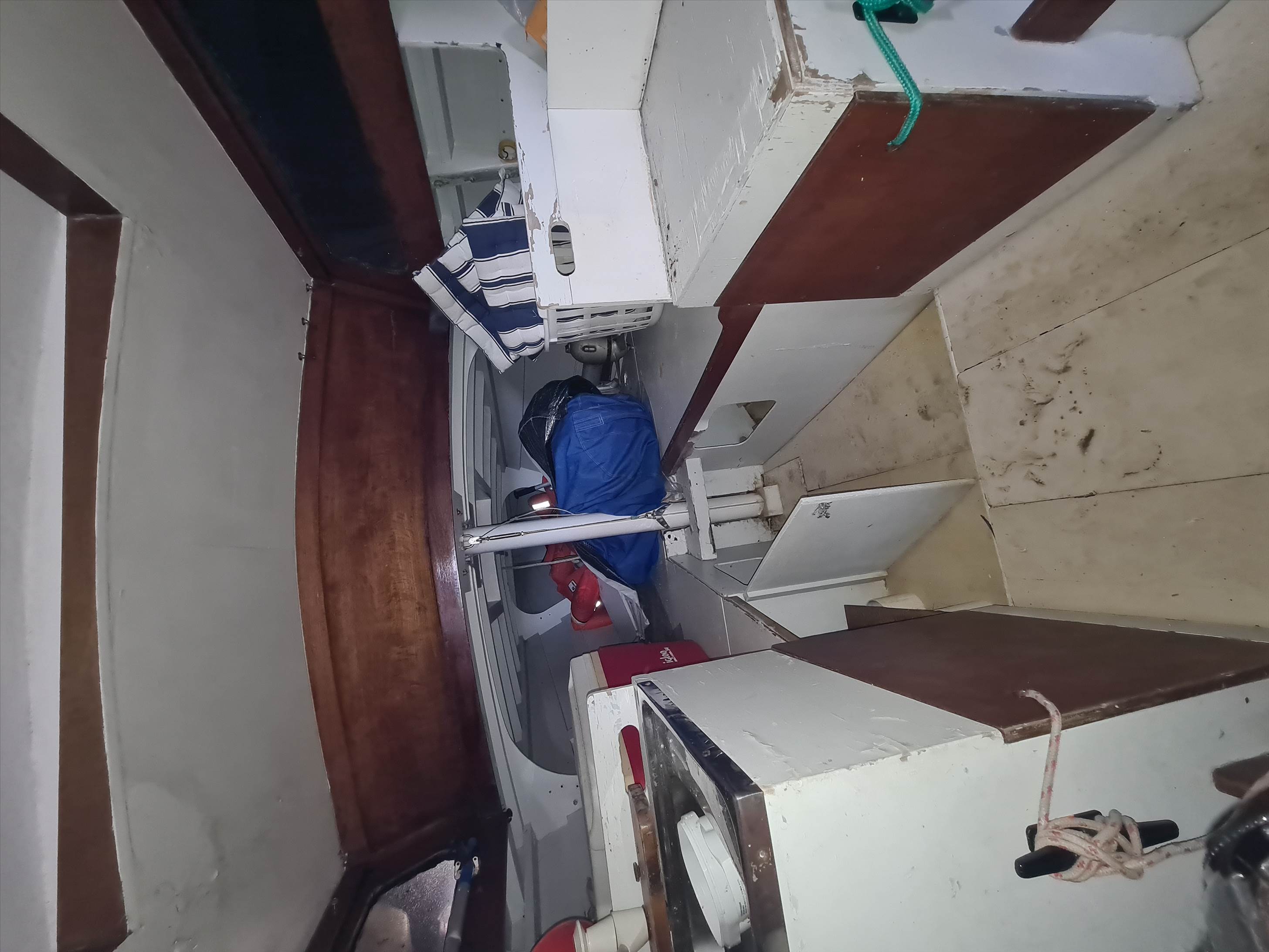 Snowgoose interior