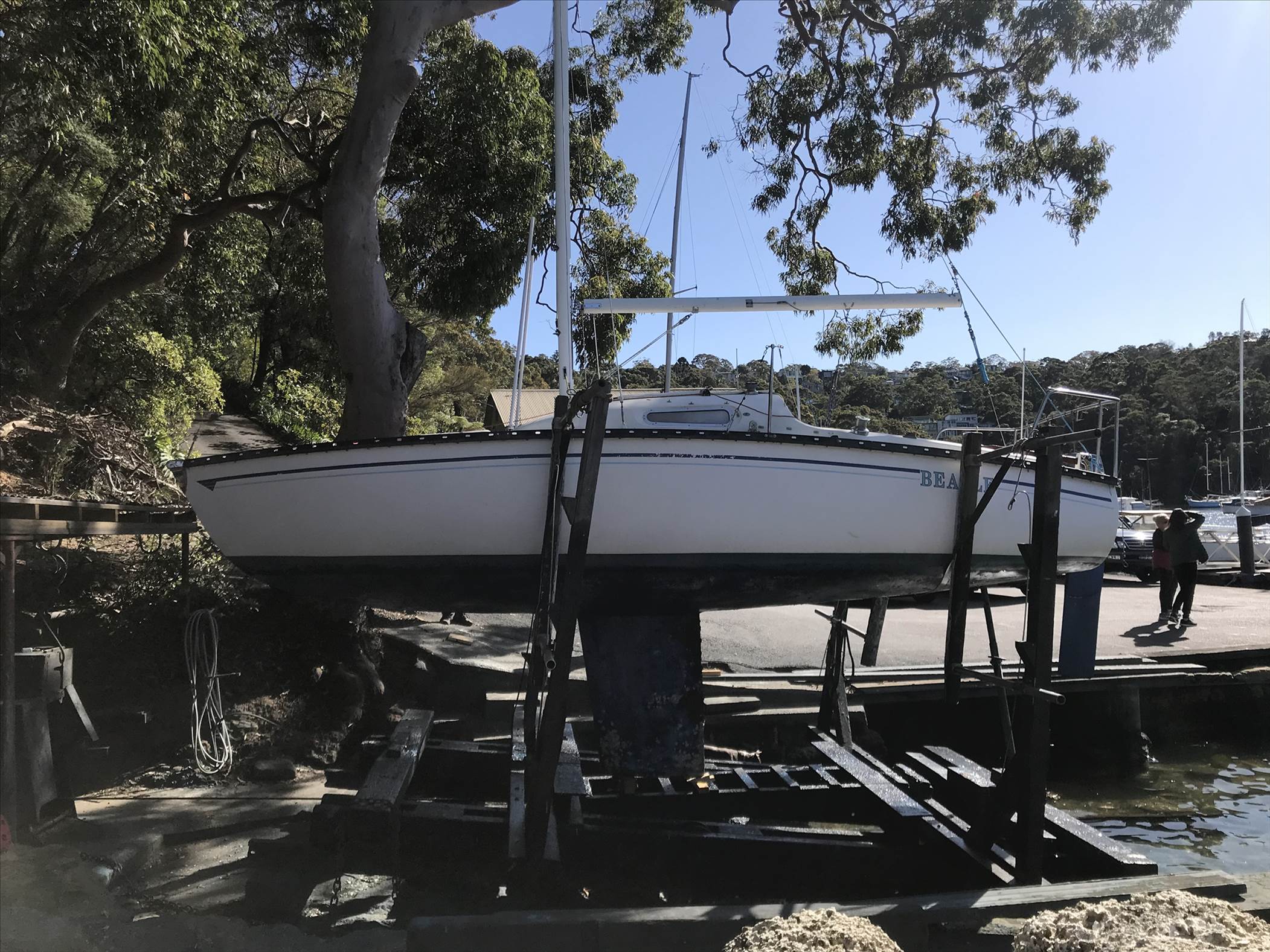 Tasman 22