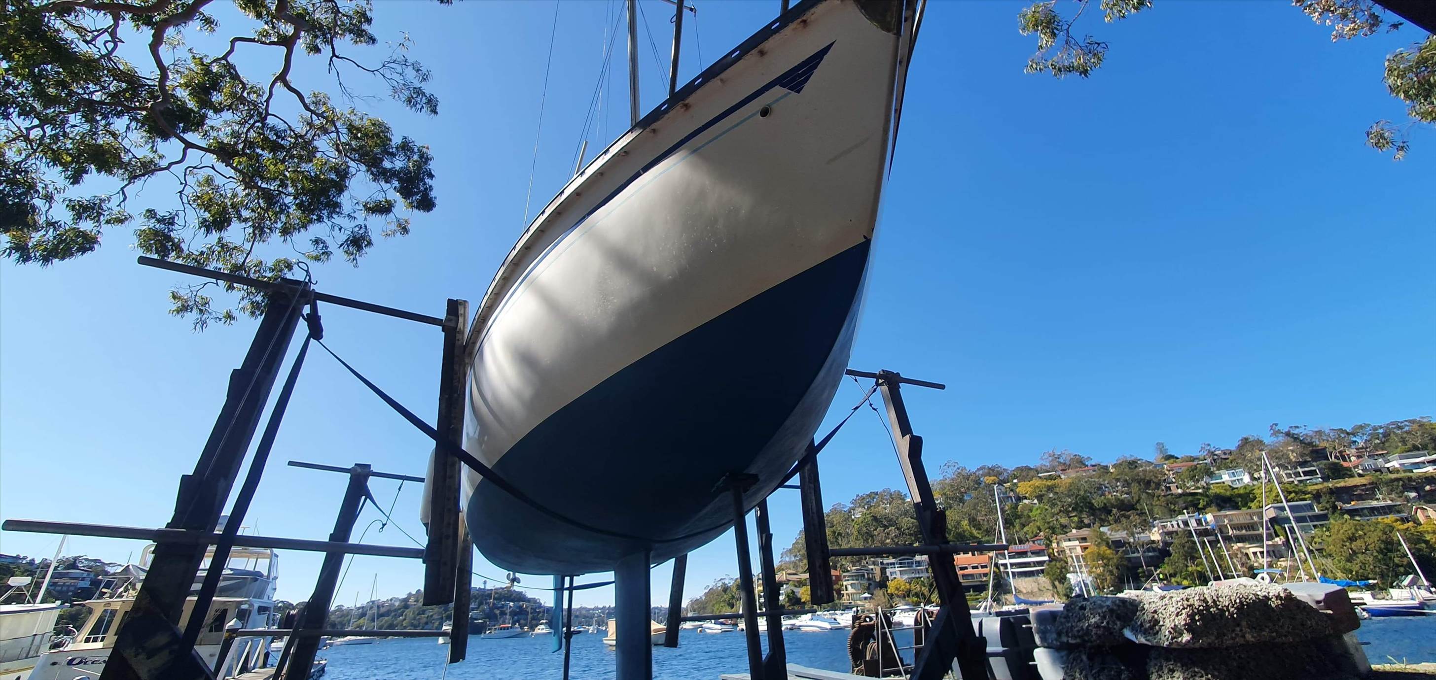 Tasman 22