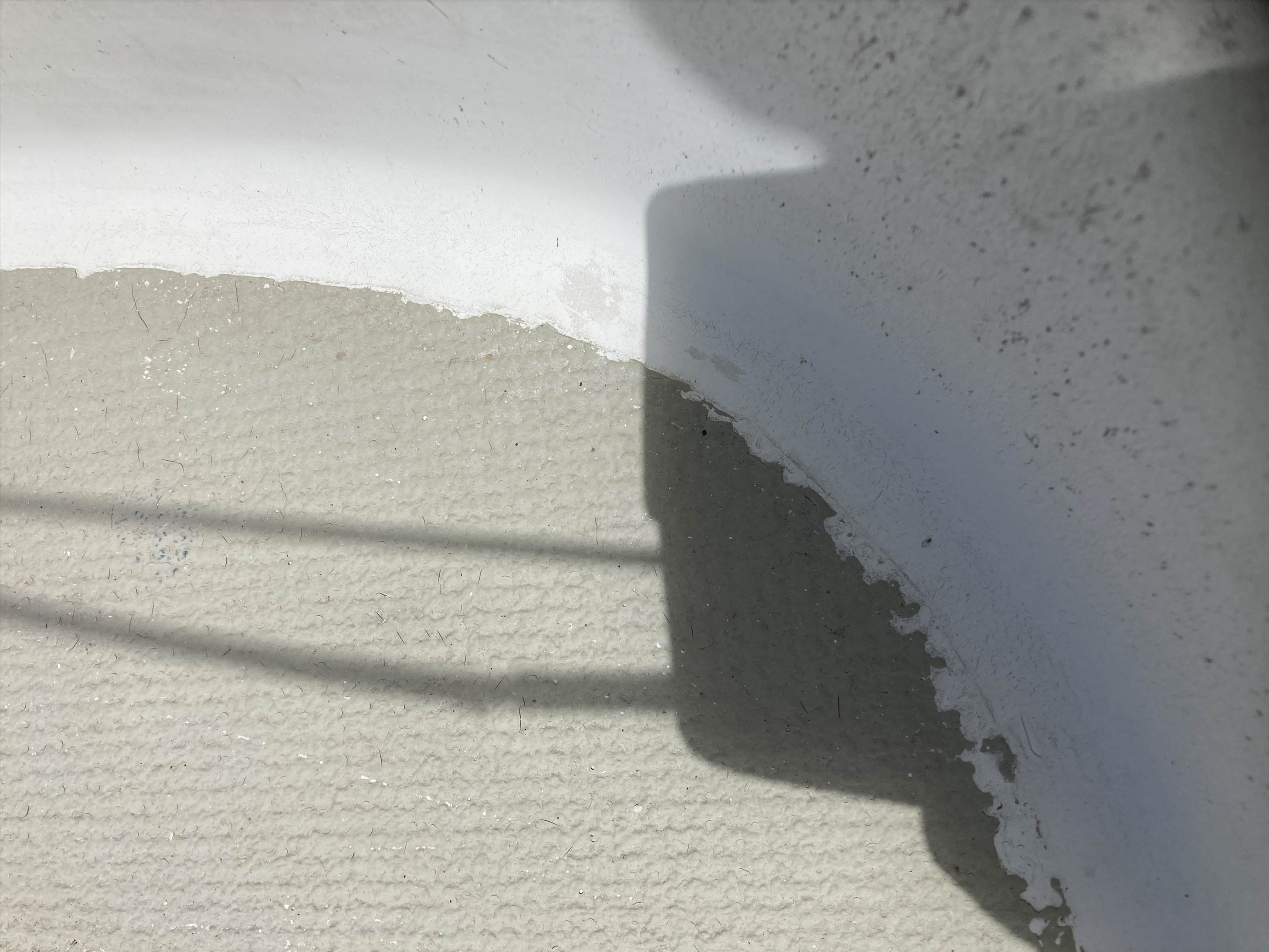 Kiwi Grip