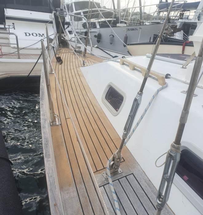teak