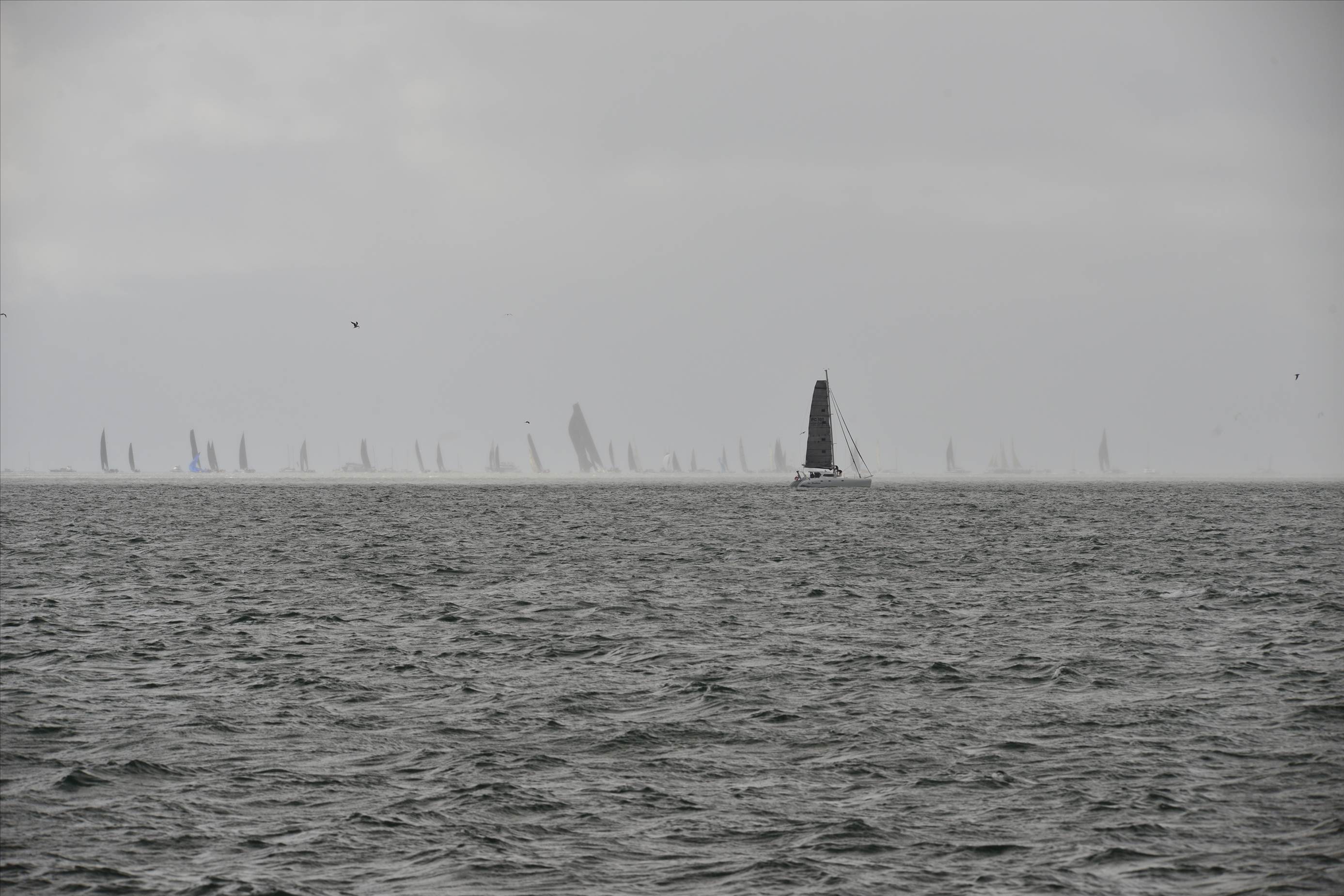 2019 Brisbane to Gladstone Multihull Yacht Race